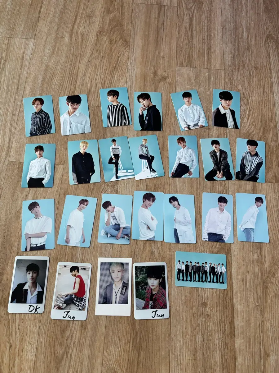 세븜틴 공식 포카 일괄