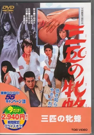 일본 국내 영화 DVD 삼총사