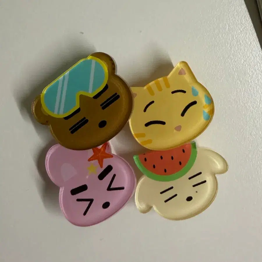 데이식스 크록스 지비츠