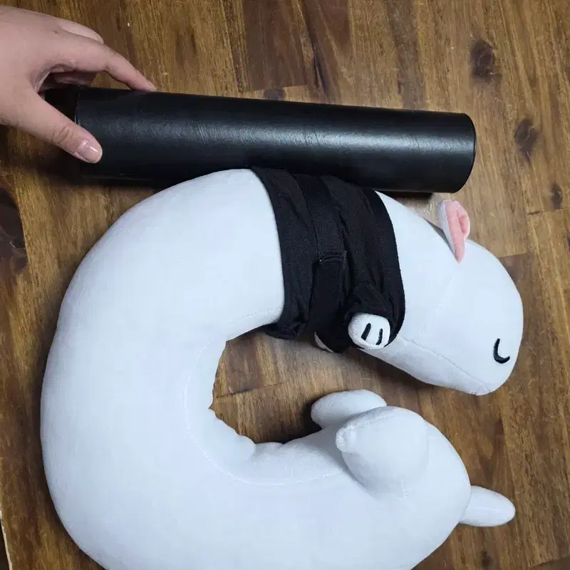 화산귀환 공식 백아 목베개 + 특전