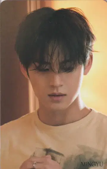 SEVENTEEN HMV MINGYU FACE THE SUN