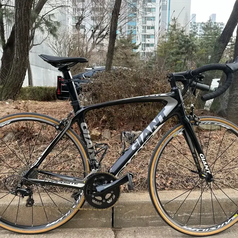 자이언트 tcr 컴포지트 로드