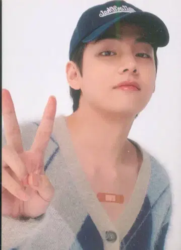 BTS V 포춘박스 S ver