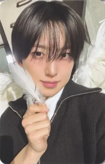 &TEAM GAZE ver. FUMA Back to Life KR 1st Mini Album A