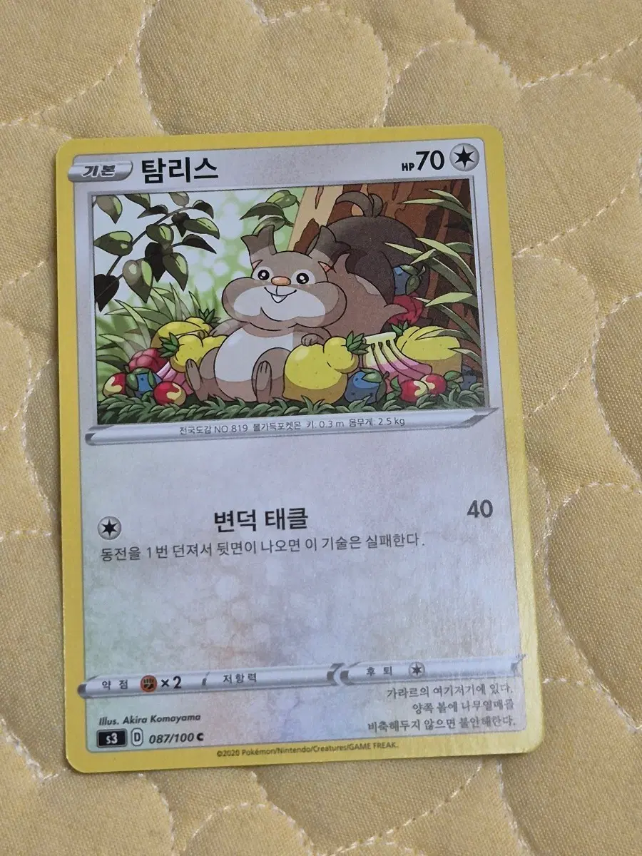 무한존S3 탐리스 포켓몬카드 앨범용 귀여운 옛날카드