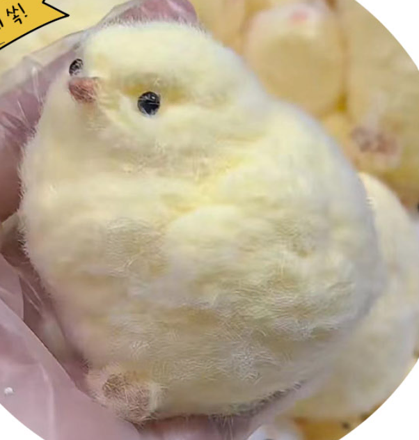 무배) 병아리 말랑이 2마리