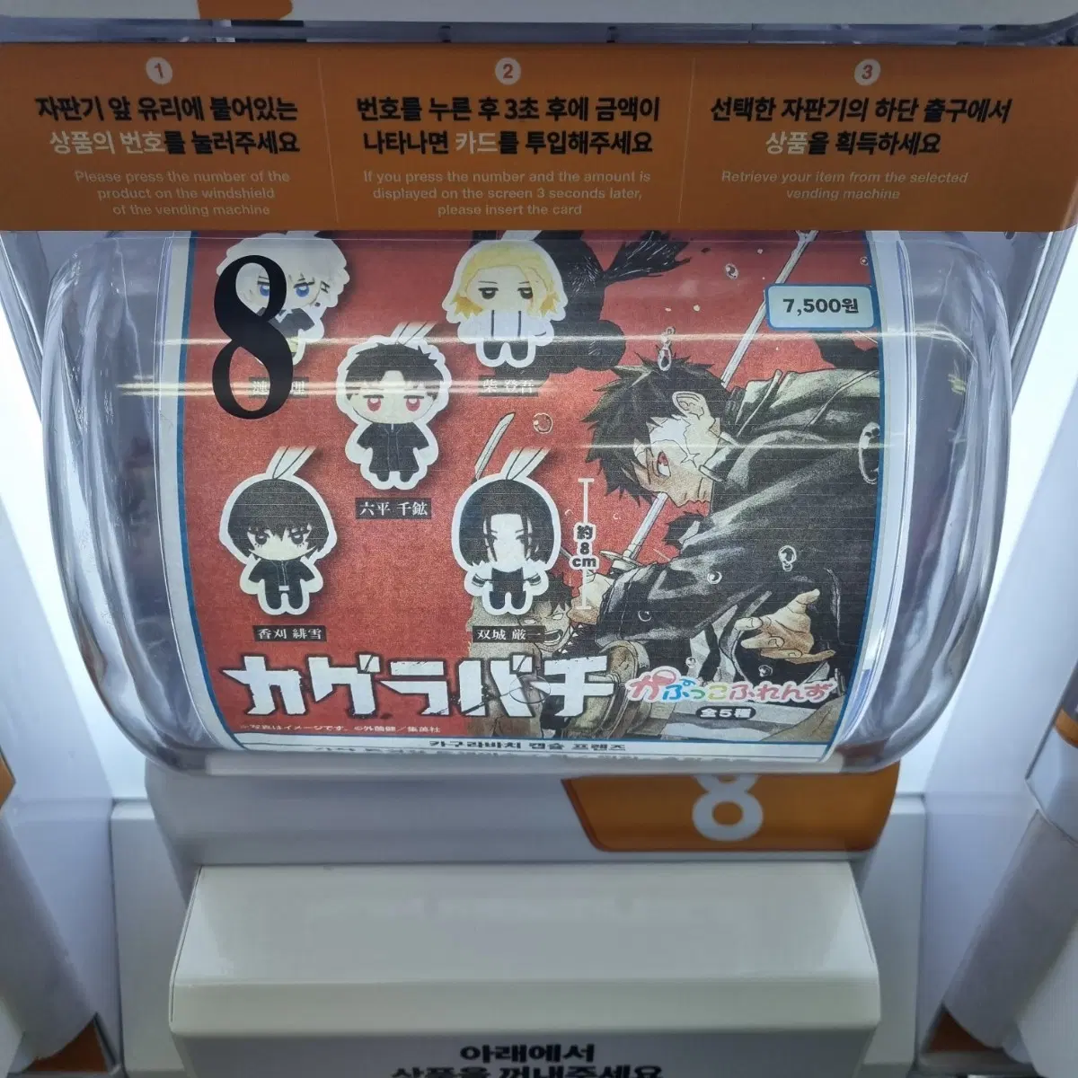 카구라바치 요술사 시바 가챠 카푸코 누이 (교환도 가능!)