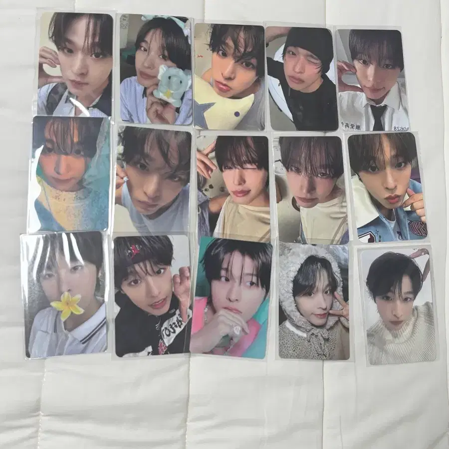 엔시티 위시 엔위시 리쿠 포카 서프 스테디 가오슝 교복 오투럽 에버위시 에버랜드 멤버십 단콘 팝팝 전시회