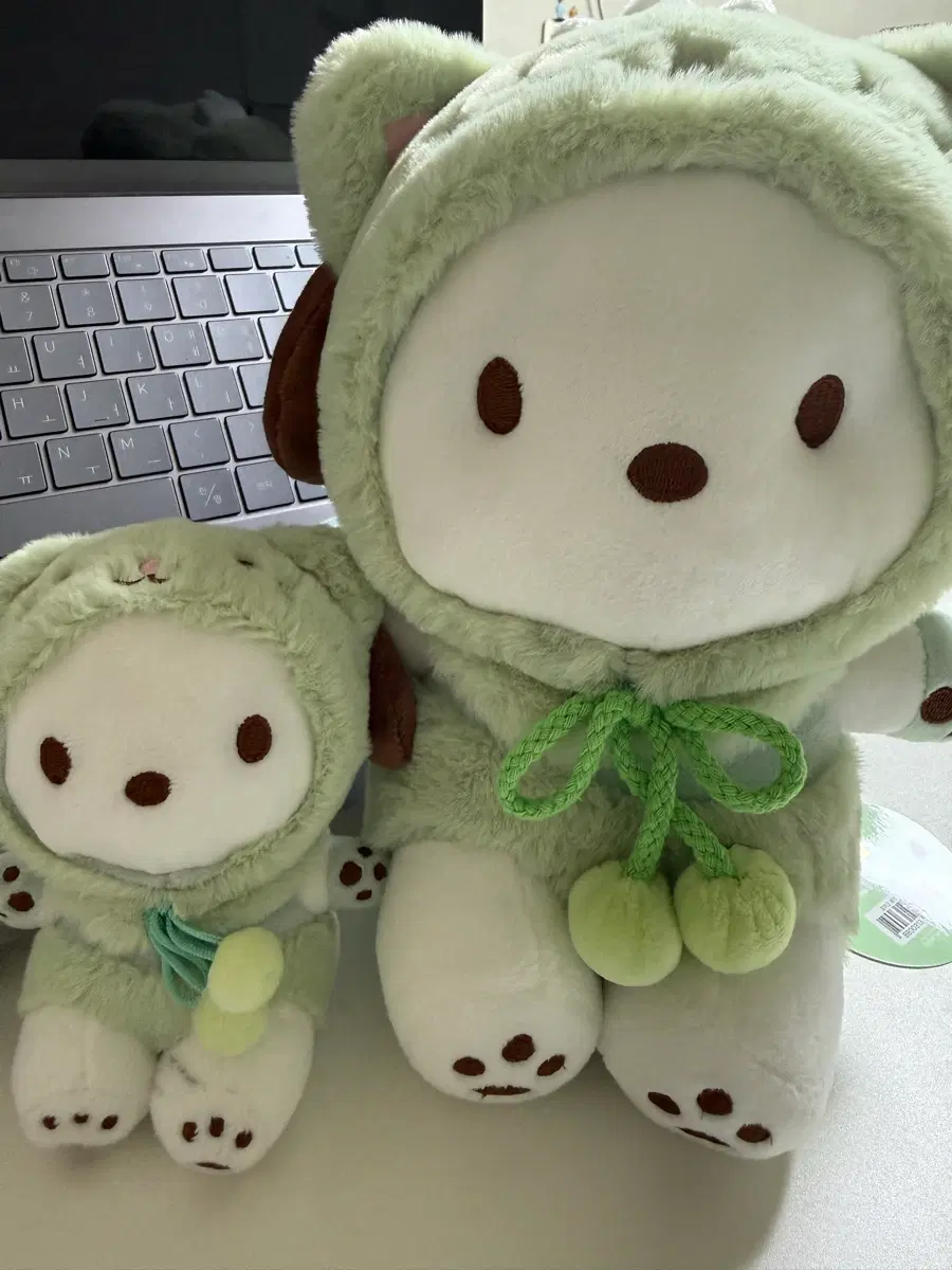 고양이포챠코 세트(키링인형+큰인형), 반택포