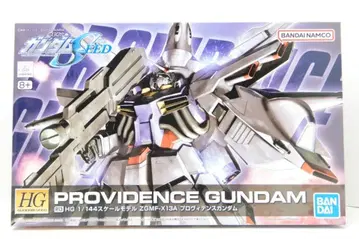 BANDAI SPIRITS HG GUNDAM SEED 1/144 반다이남코판 프로비던스 건담 R13