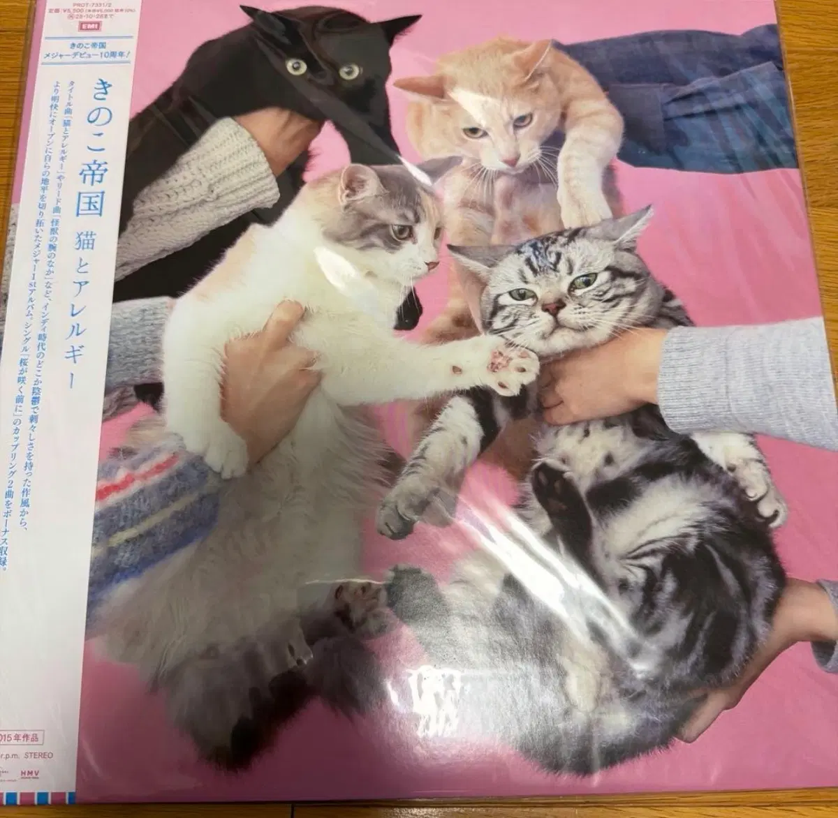 키노코 테이코쿠 버섯제국 kinoko teikoku - 고양이와 알레르기 LP