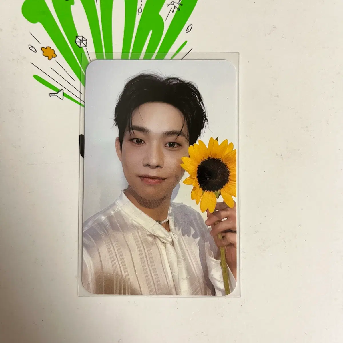 루시 최상엽 선 앨포