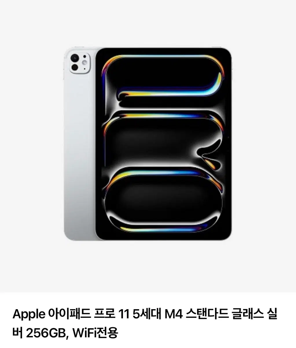 Apple 아이패드 프로 11 5세대 M4 256GB 실버 WiFi