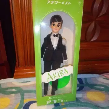 초대 리카짱 칸나짱의 멋진 사촌 아키라군 스칼렛짱