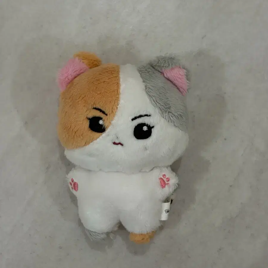 엔하이픈 정원 인형 한국냥