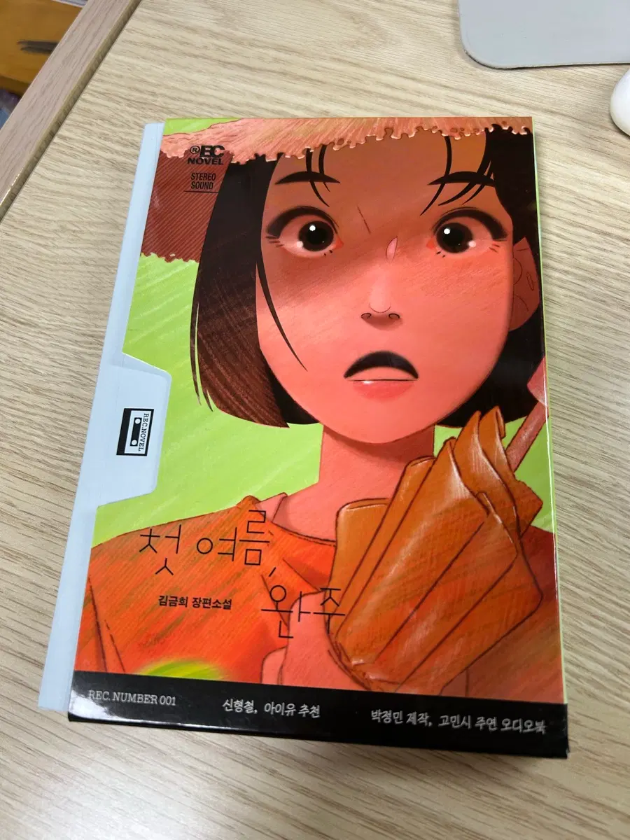 첫 여름 완주 소설책