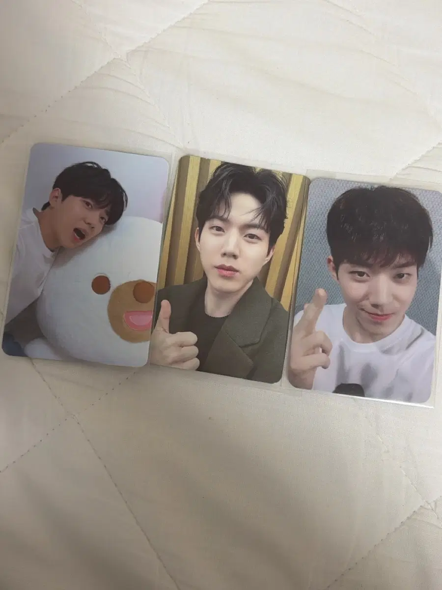 데이식스 도운 포카 양도