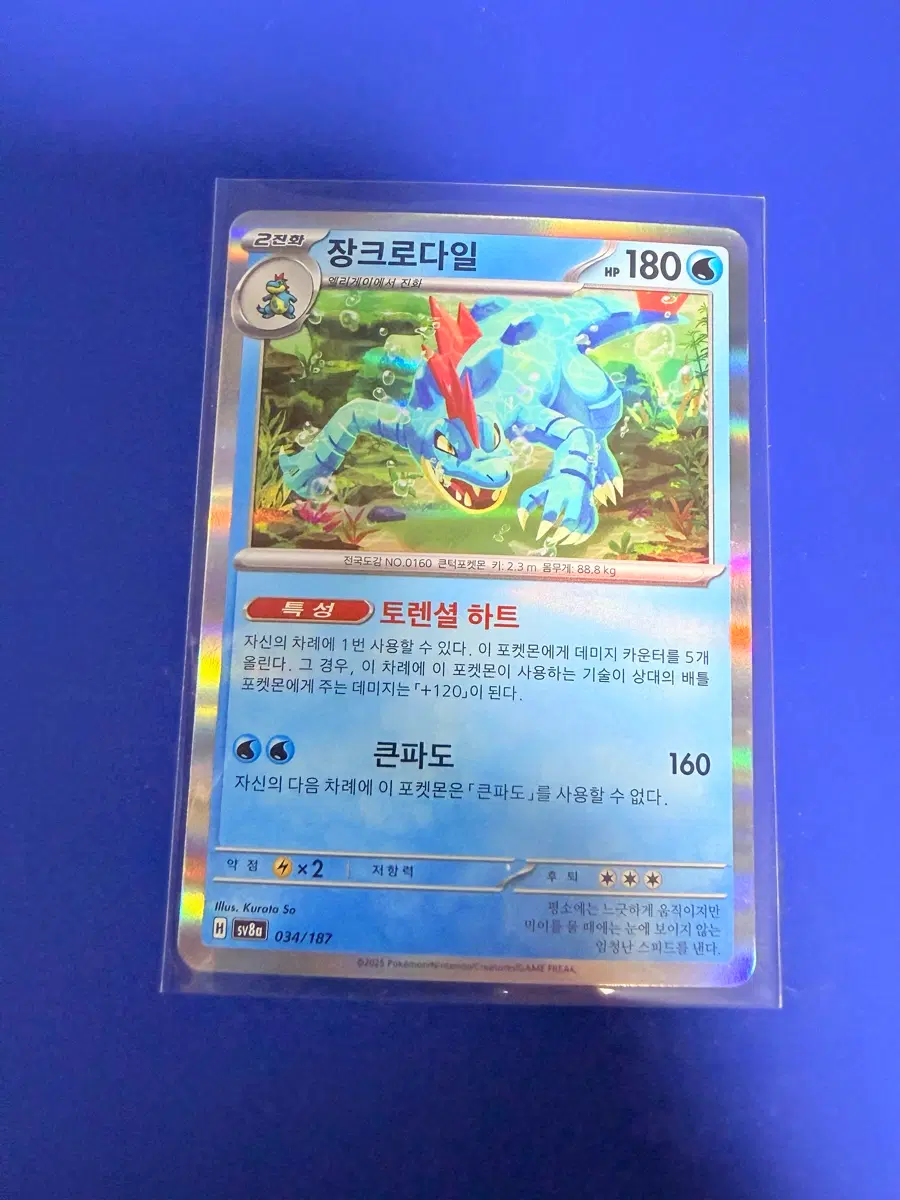 포켓몬카드 장크로다일 홀로 카드