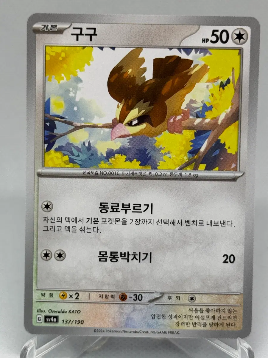 포켓몬카드 한글판 구구 일반카드 [sv4a 137/190]