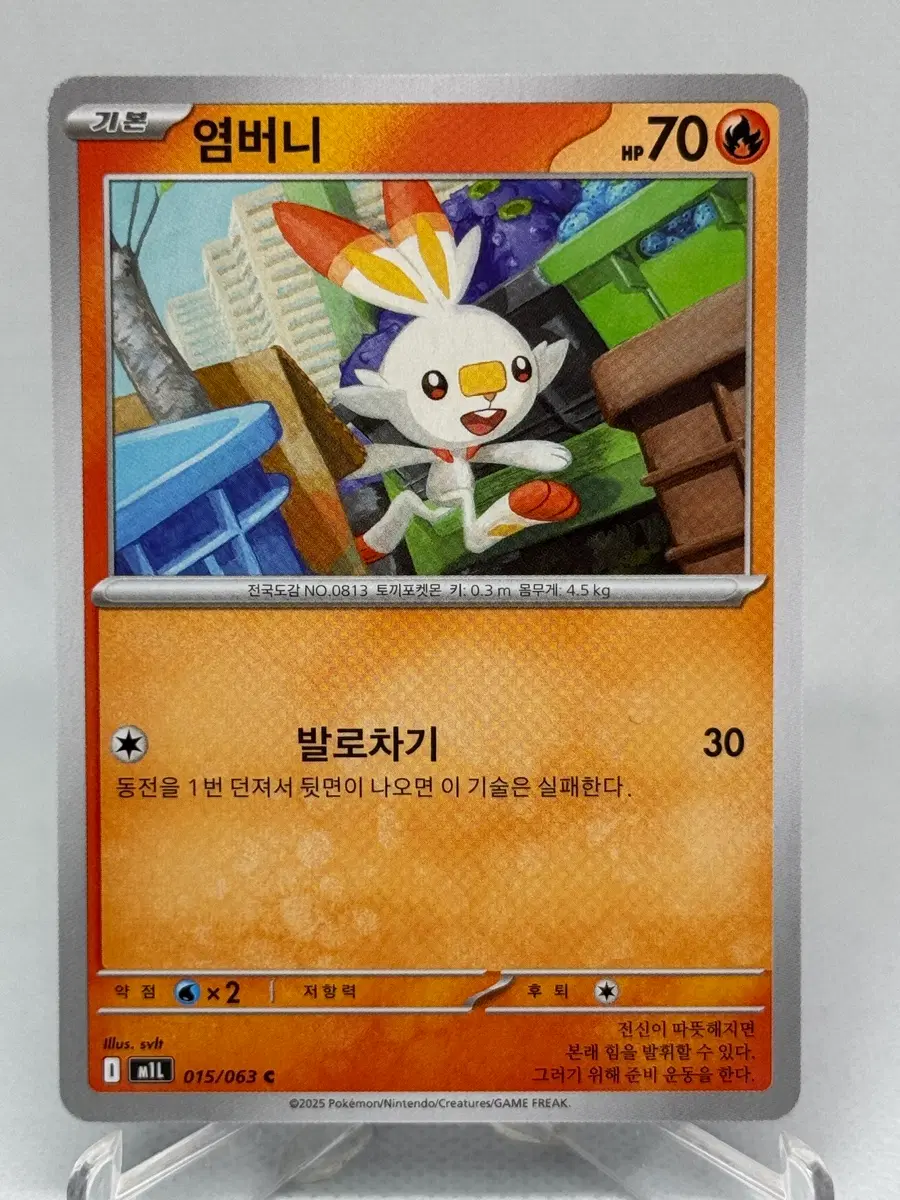 포켓몬카드 한글판 염버니 일반카드 [m1L 015/063]