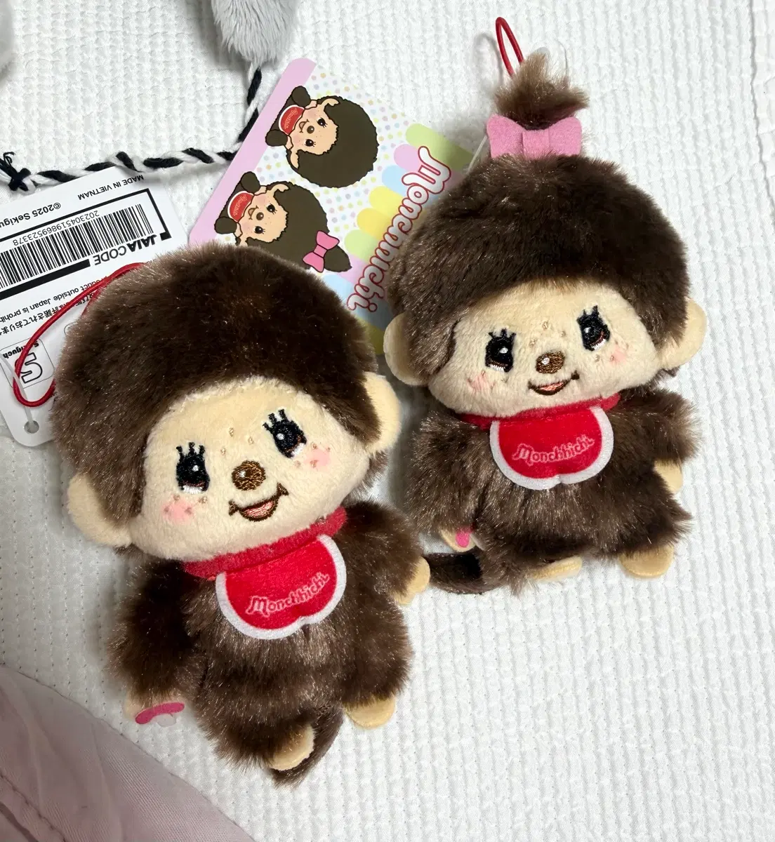 몬치치 양도 몬치치 여아