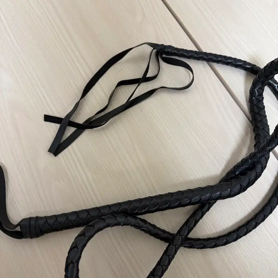 다양한 채찍