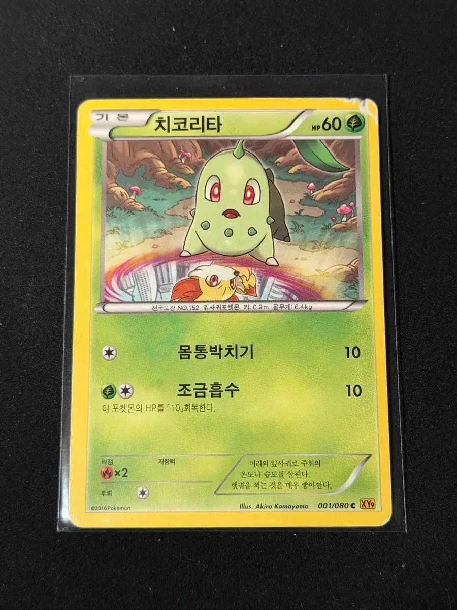 포켓몬 카드 치코리타