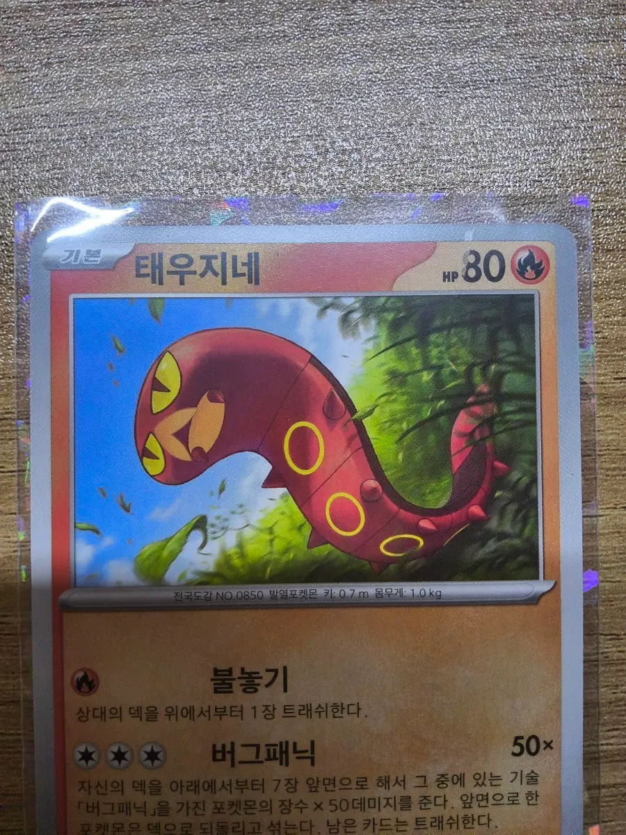 태우지네 에러카드