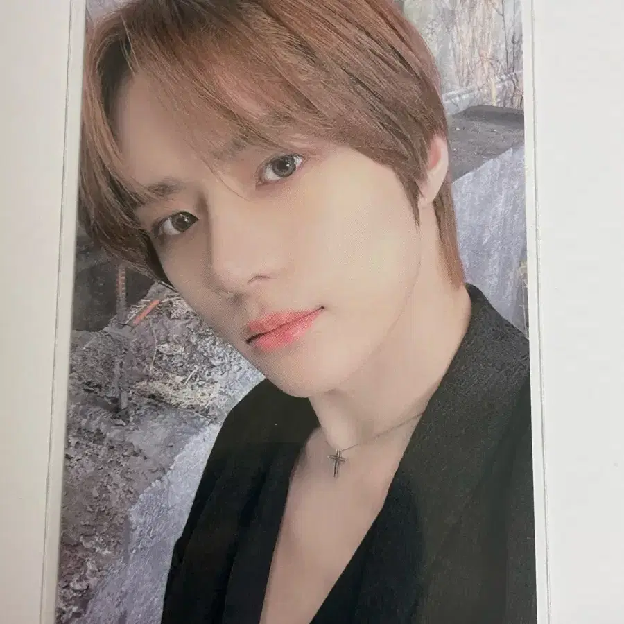 범규 디비디 포카