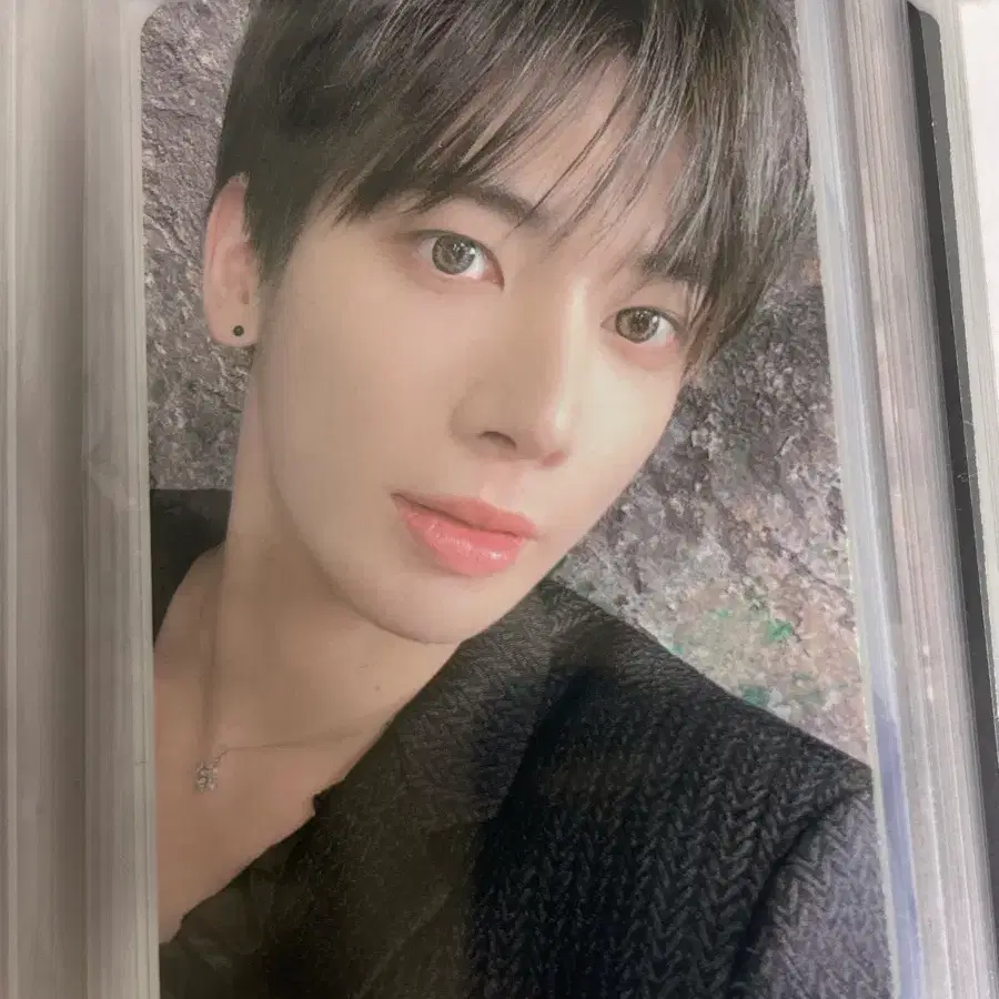 태현 디비디 포카