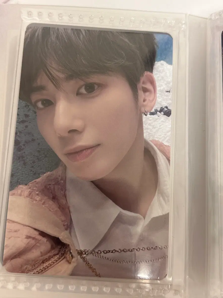 태현 디비디 포카