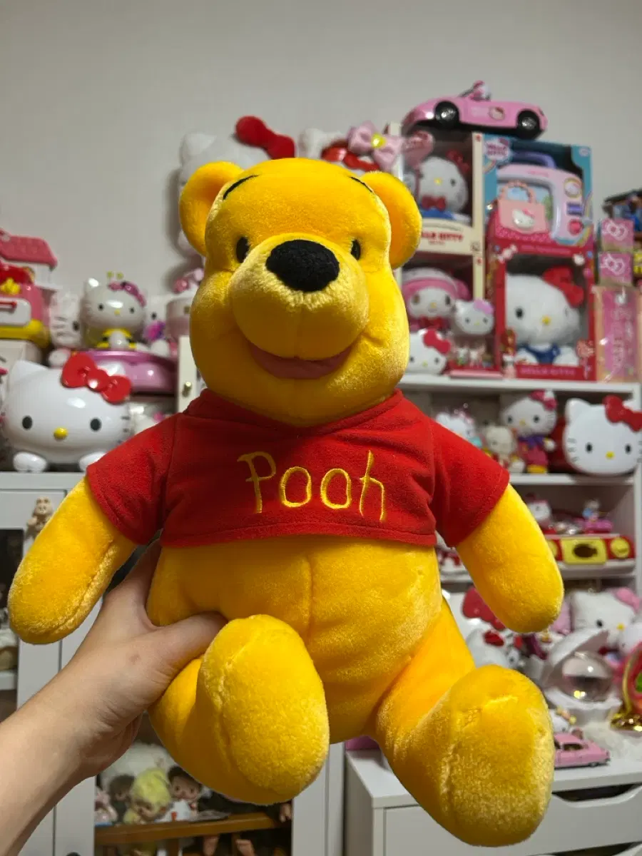 지나월드 곰돌이푸 인형