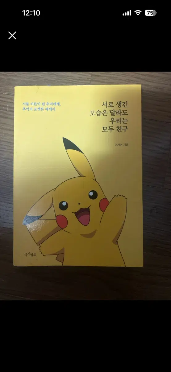 포켓몬 에세이 서로 생긴 모습은 달라도 우리는 모두 친구