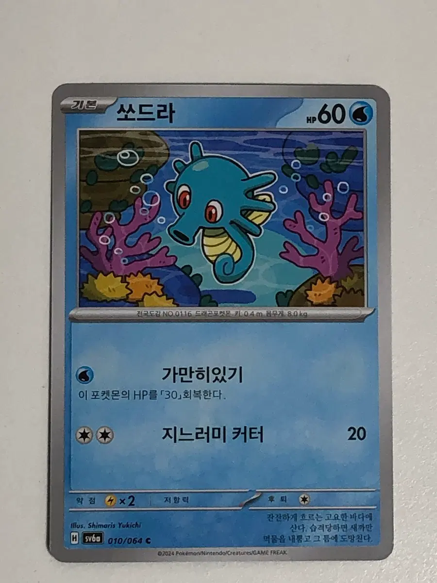 포켓몬카드 쏘드라