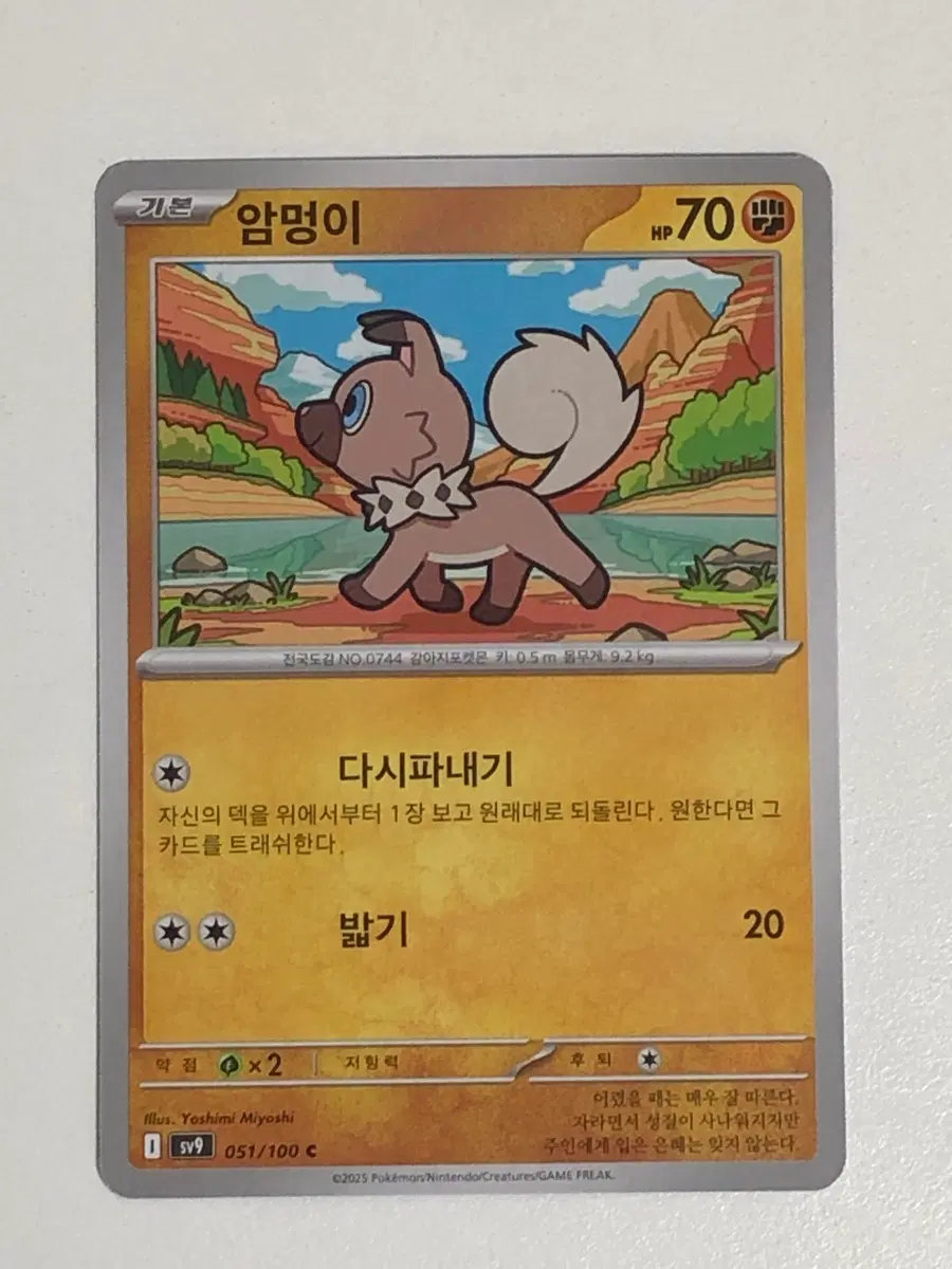 포켓몬카드 암멍이