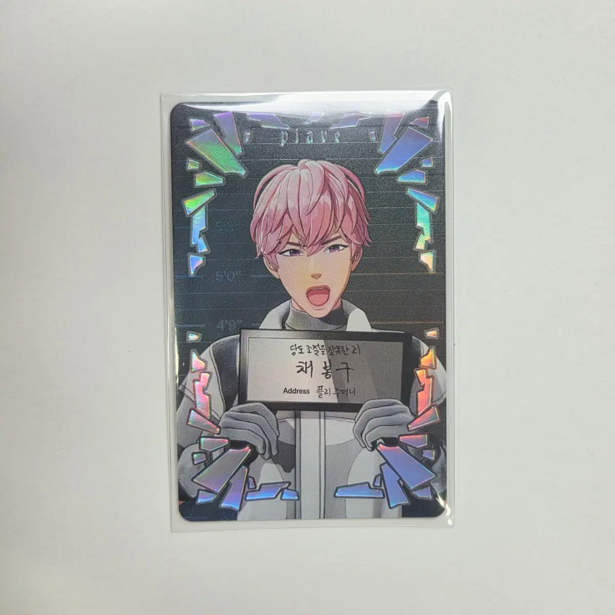 플레이브 칼리고 파트1 푸지티브 버전 스타샤드 밤비 포카 대쉬 앨포 채밤비 plave caligo pt.1 dash fugitive ver 대시 앨포 포토카드 봉구 채봉구