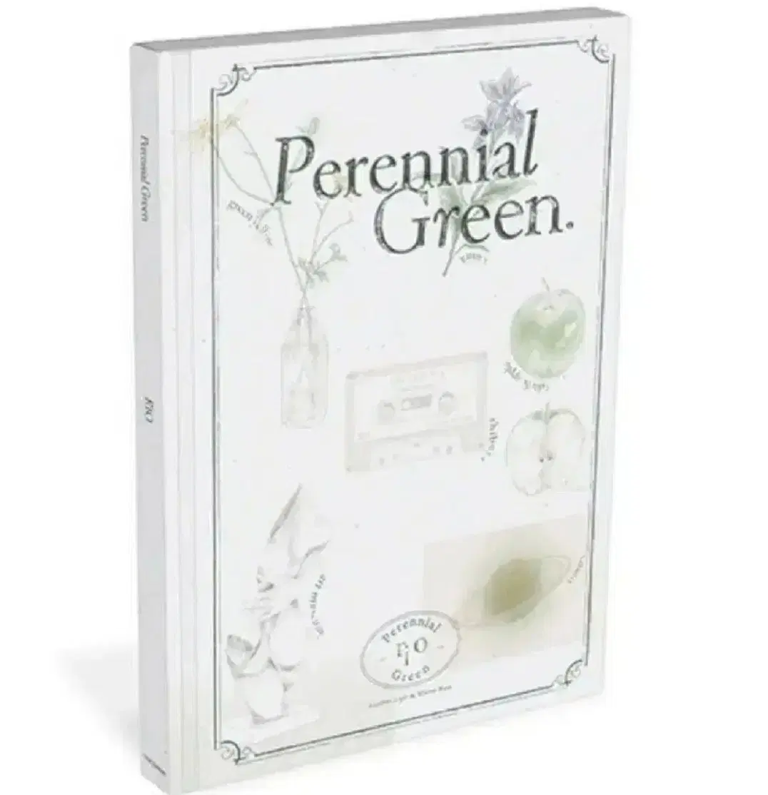 리오 RIO 앨범 Perennial Green (미개봉CD)