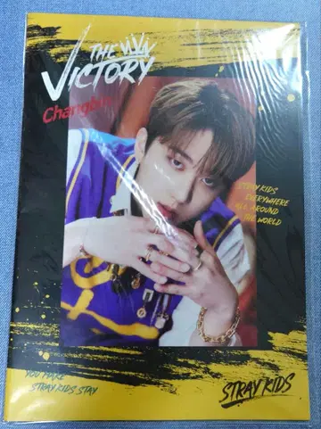 straykids Victory 팝업 포토북 창빈