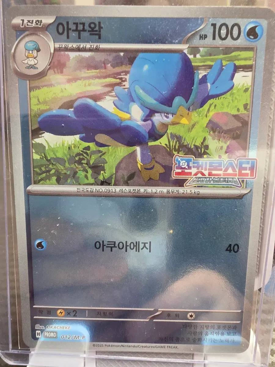 포켓몬 카드 아꾸왁 1진화 프로모 카드
