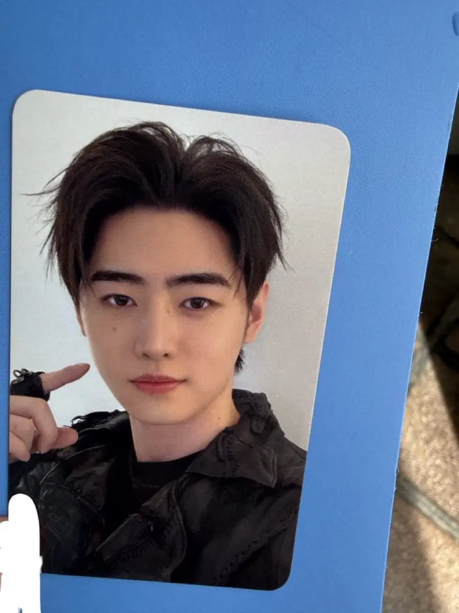 엔하이픈 블러드사가 부산콘 엔진존 성훈