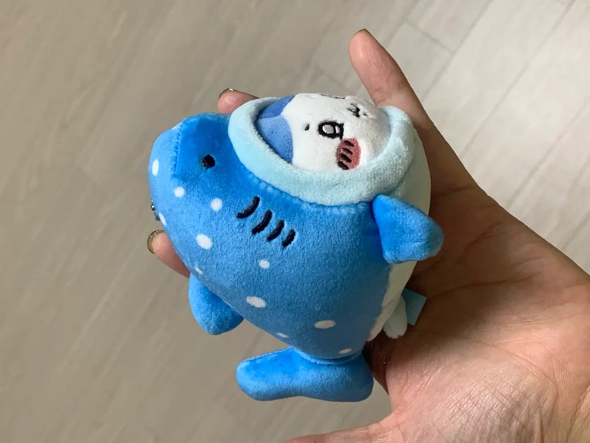 고래상어 하치