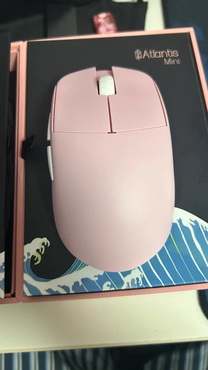 람주 아틀란티스 미니 챔피언 에디션(8k동글포함)