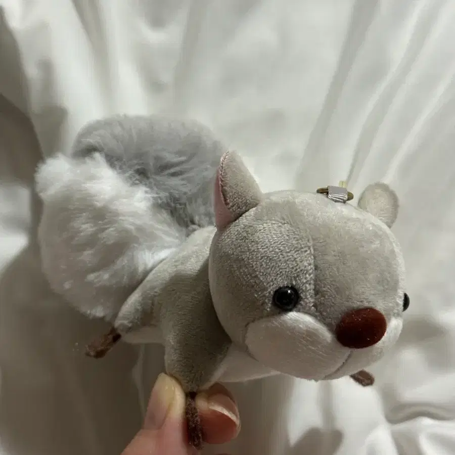 회색 다람쥐 인형 키링