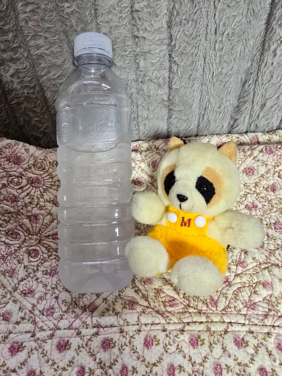 뉴스타 너구리인형 키링