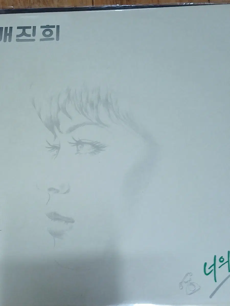 배진희 엘피판