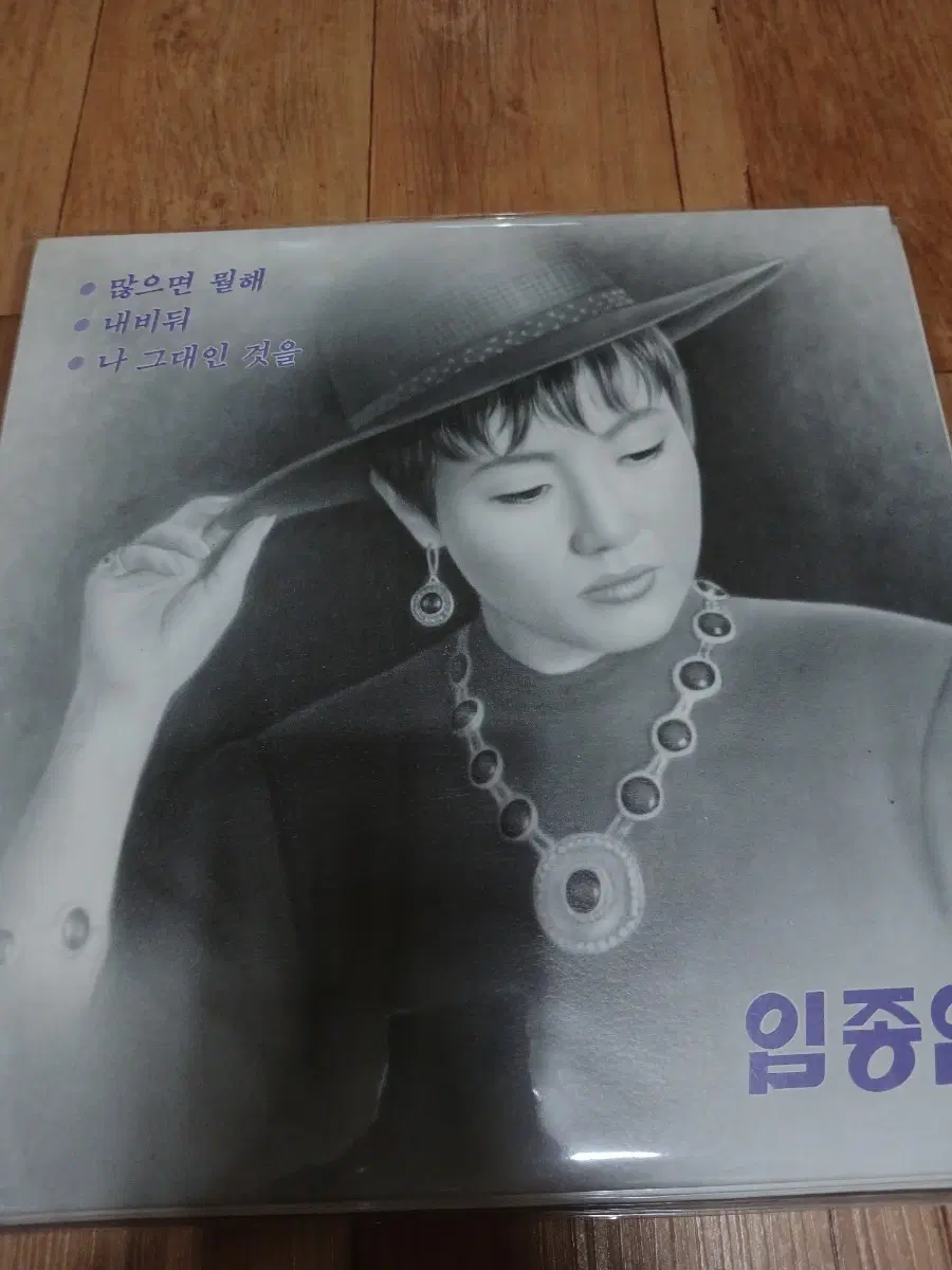 임종임엘피판