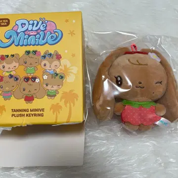 IVE MINIVE 일광화상 봉제 인형 키링 원영 체리
