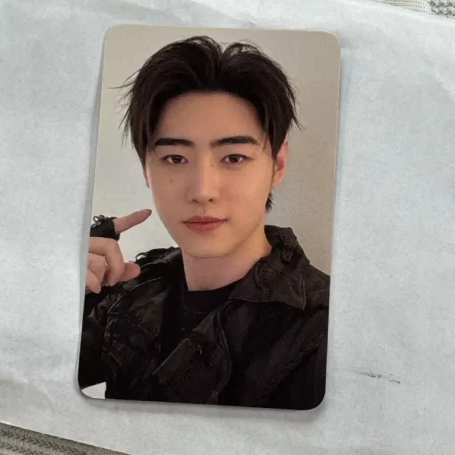 엔하이픈 성훈 부산콘 엔진존