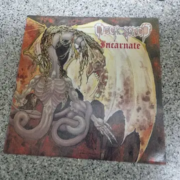 네크로산트 Necrosanct / Incarnate [LP] | CD/DVD/LP | 번개장터 중고거래