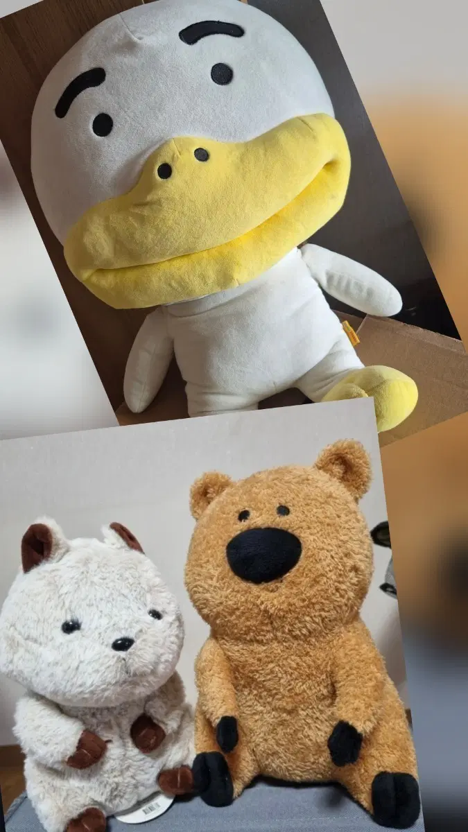 쿼카 중형 인형 2개 +카카오튜브 대형인형 1개